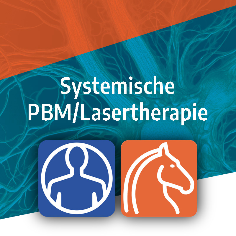 Systemische_PBM-800x800.jpg