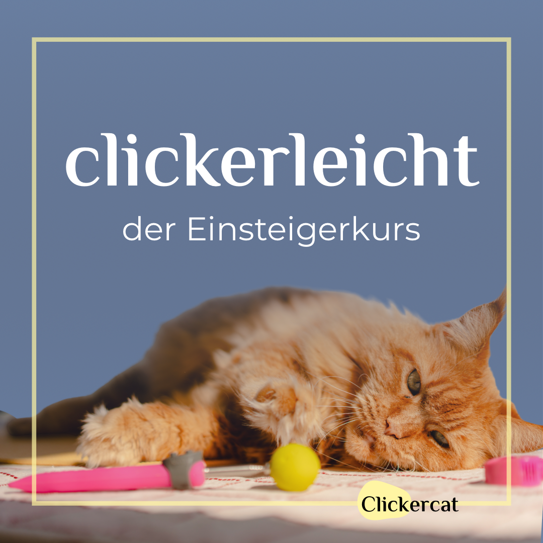 Titelbild clickerleicht 