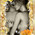 digital-icon