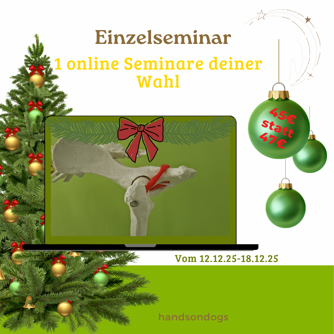 Kopie von 3er Bundle-1080x1080.png