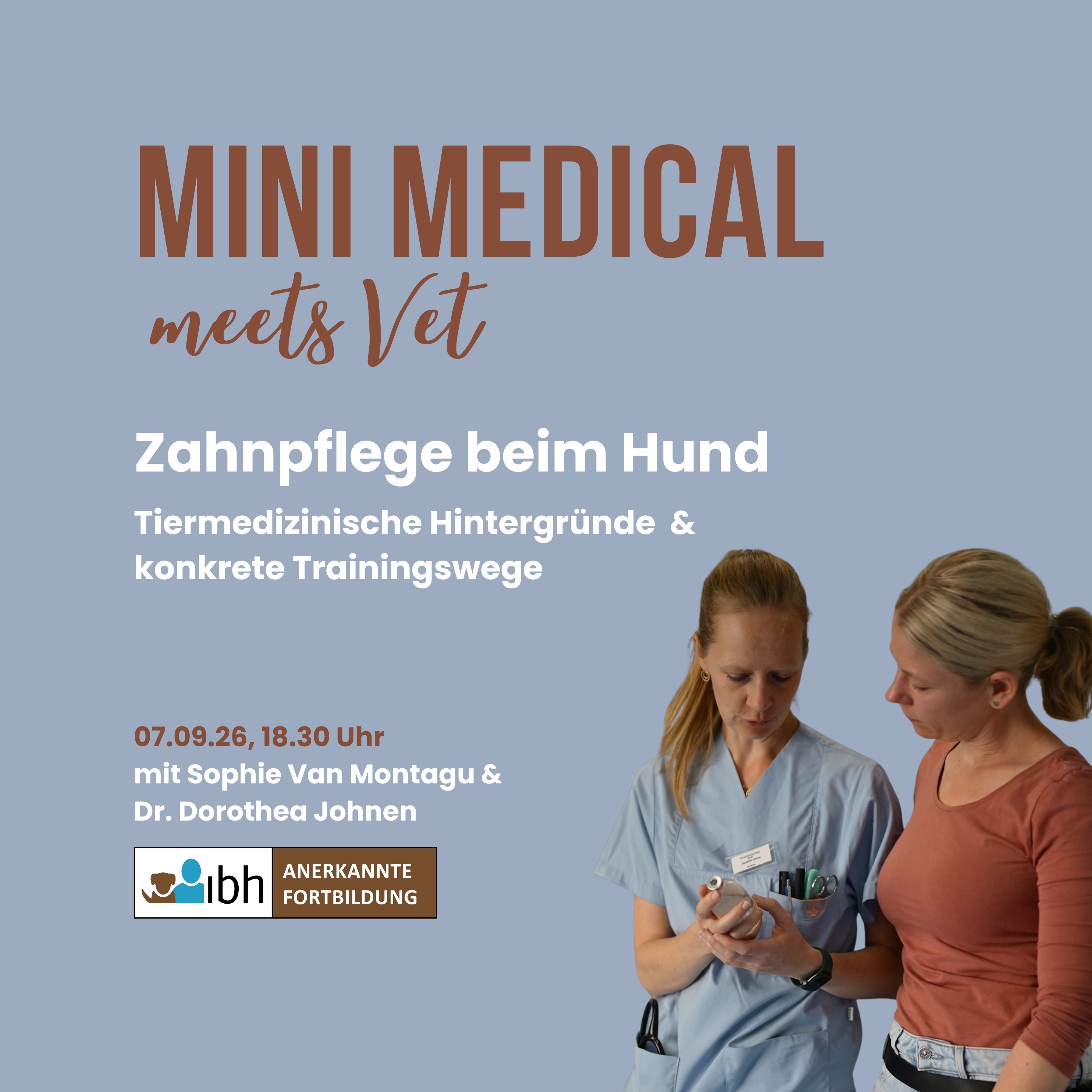 Zahnpflege Hund