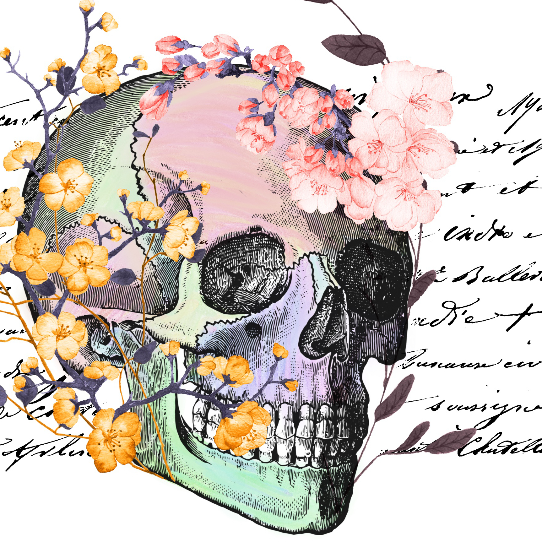 Ein bunt kolorierter menschlicher Schädel, verziert mit Blumen, ein unleserlicher Text im Hintergrund