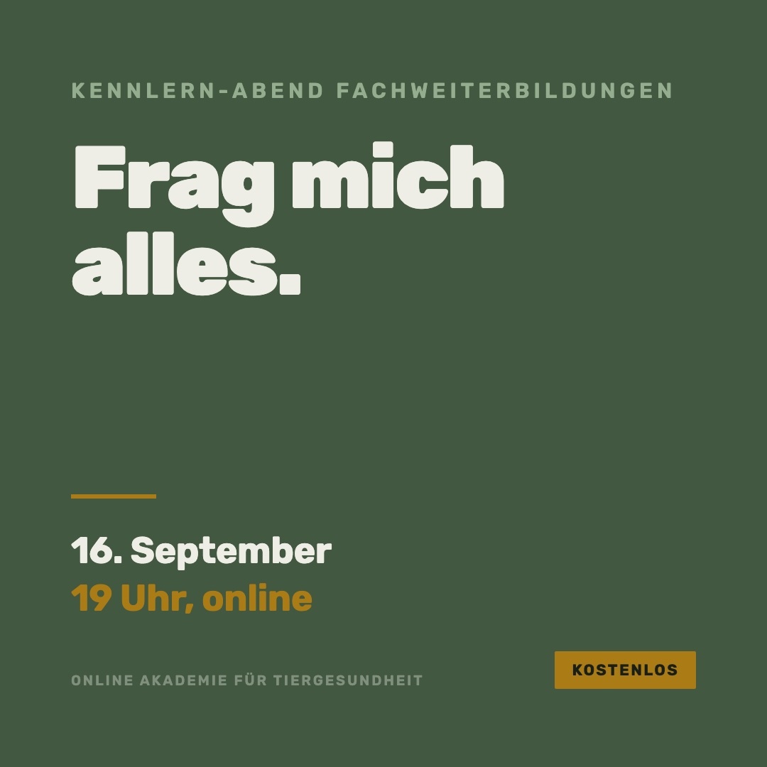 kachel-1080x1080.jpg
