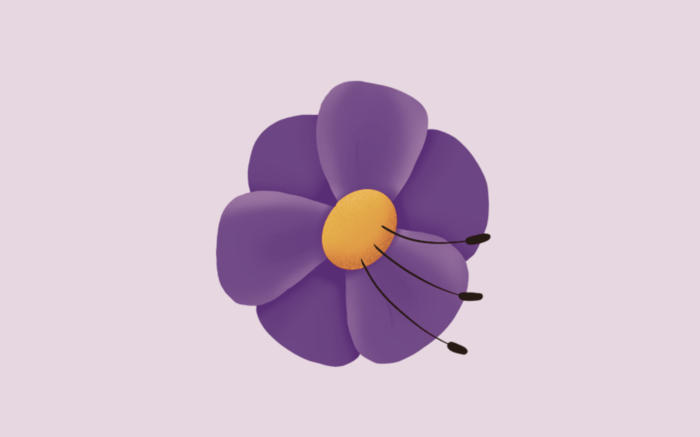 loaded_image