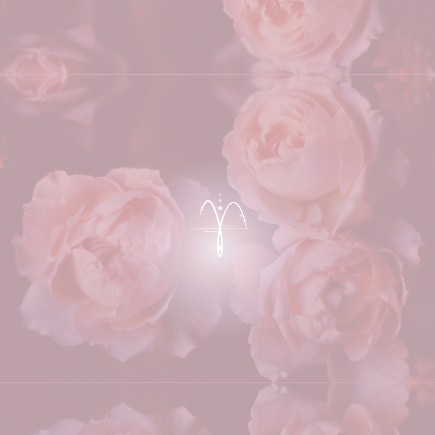 Fertige Webseitenbilder (Website)(4)-895x895.png