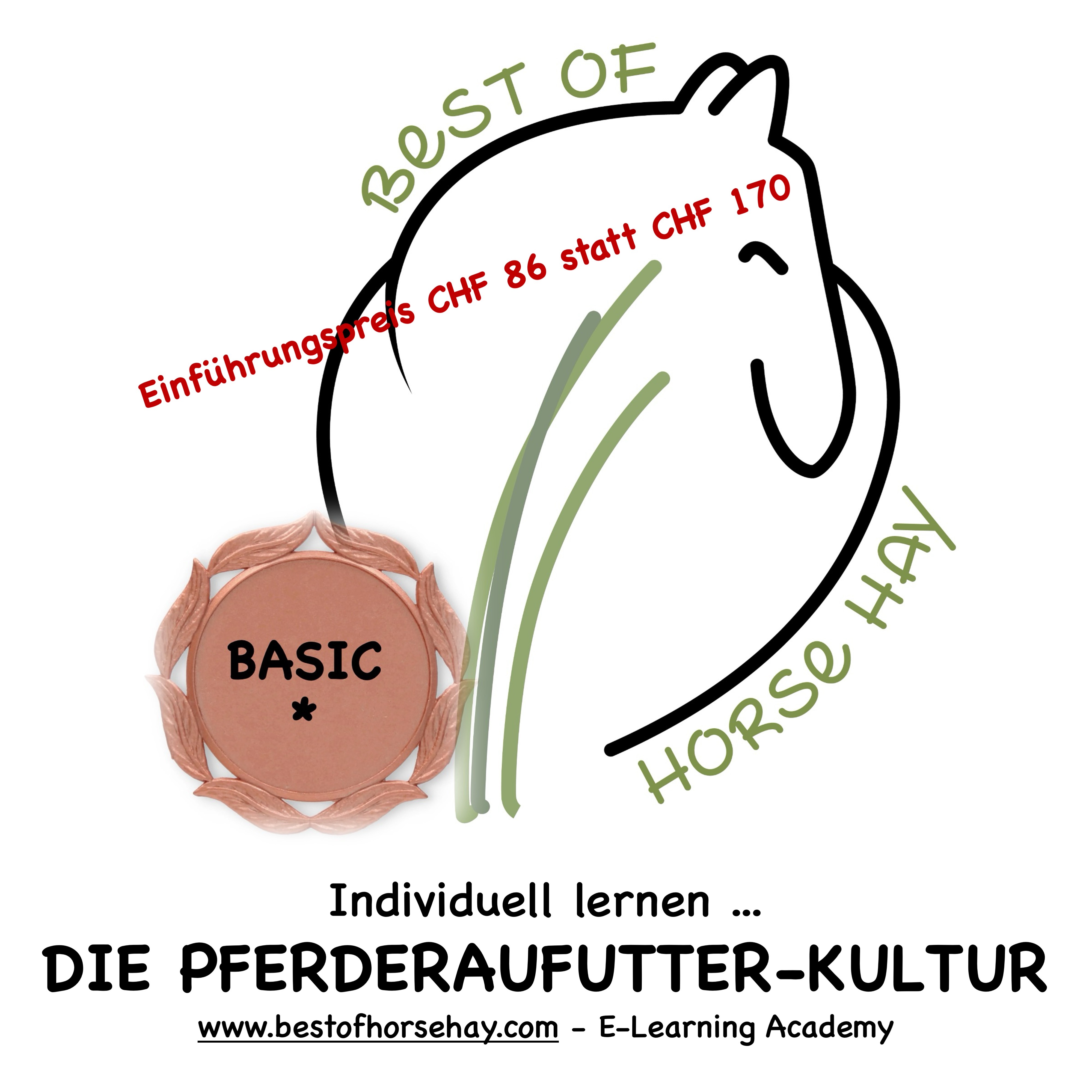 Basic Einfuehrungspreis-4000x4000.jpg