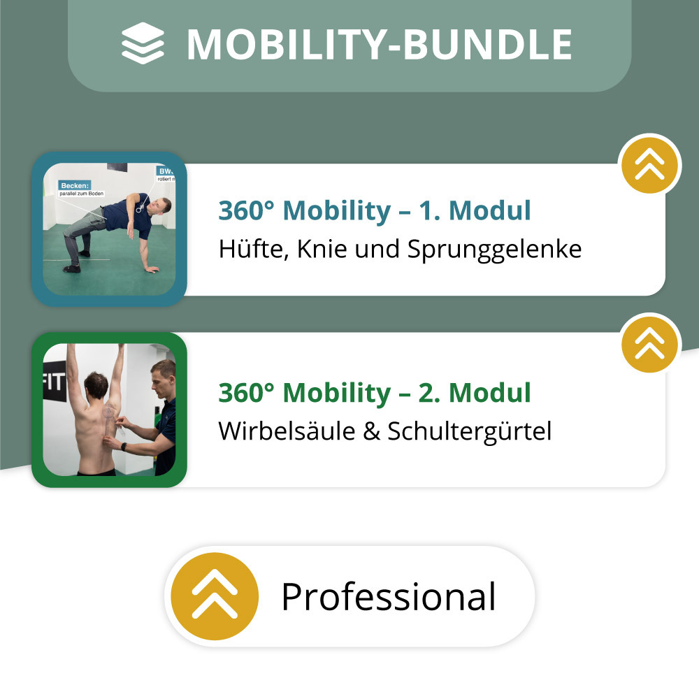 Mobility_Bundle_Professional-1000x1000.jpg