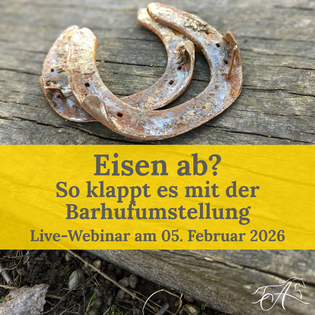 webinar_eisenumstellung-2026-1080x1080.png