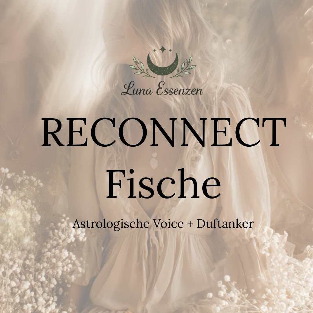 Reconnect, animoments, anikaroemer, fotografindessau, astrologindessau, astrologin, sichtbarkeitsexpertinAnimomentsPhotography, Anika Römer, Sichtbarkeitsexpertin14-1080x1080.jpg
