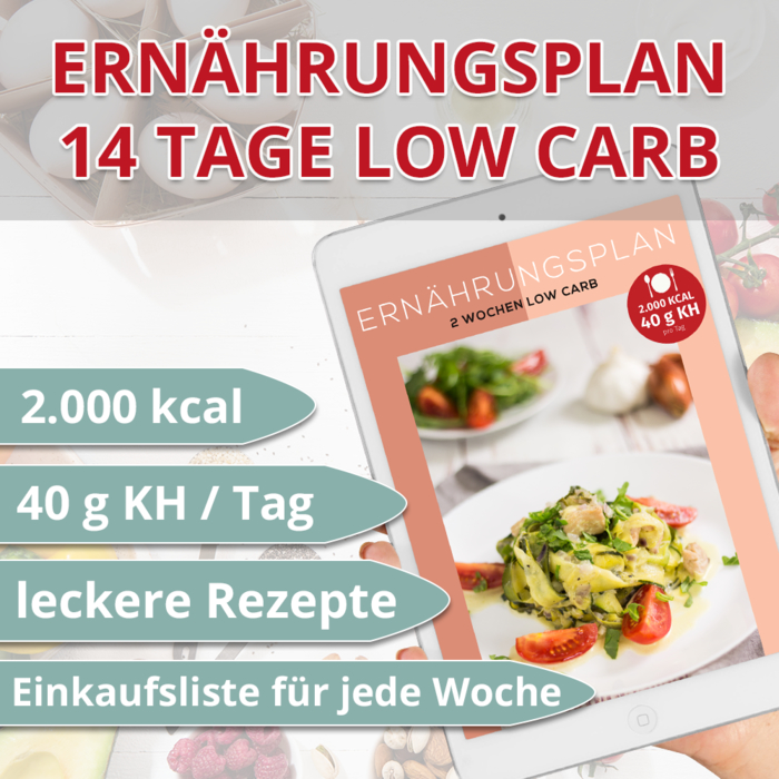 14 Tage Low Carb Ernährungsplan • 2.000 kcal • 40 g Kohlenhydrate pro Tag - salala.de | elopage