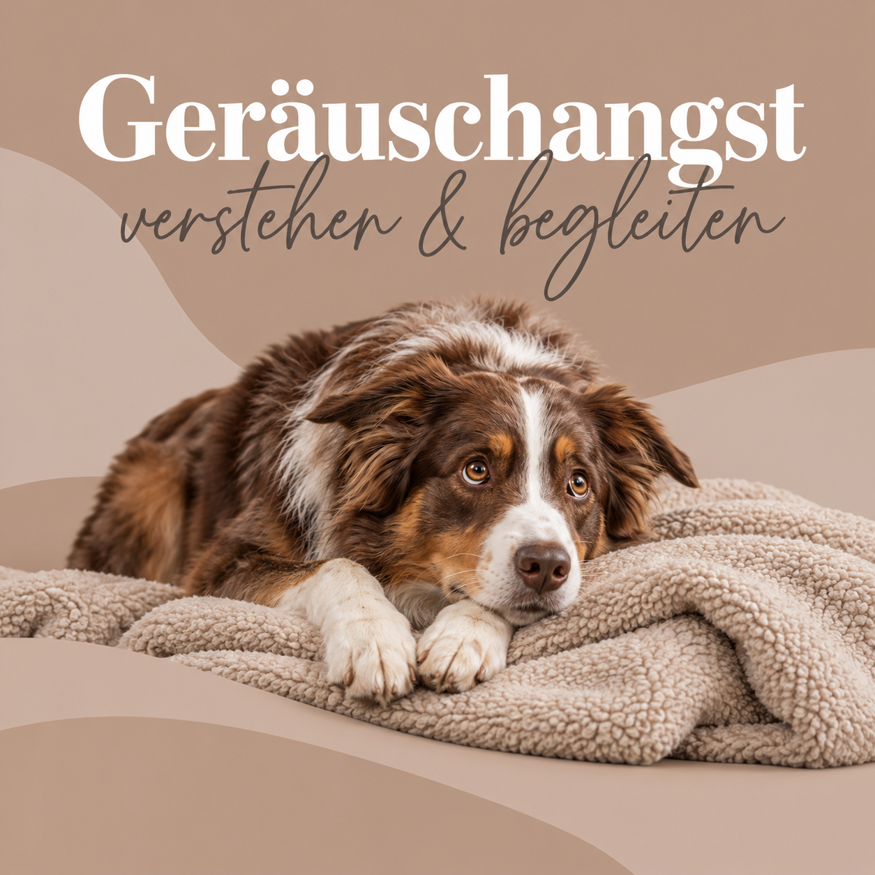 Geräuschangst verstehen & begleiten-1254x1254.png