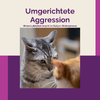 Produktbild Umgerichtete Aggression