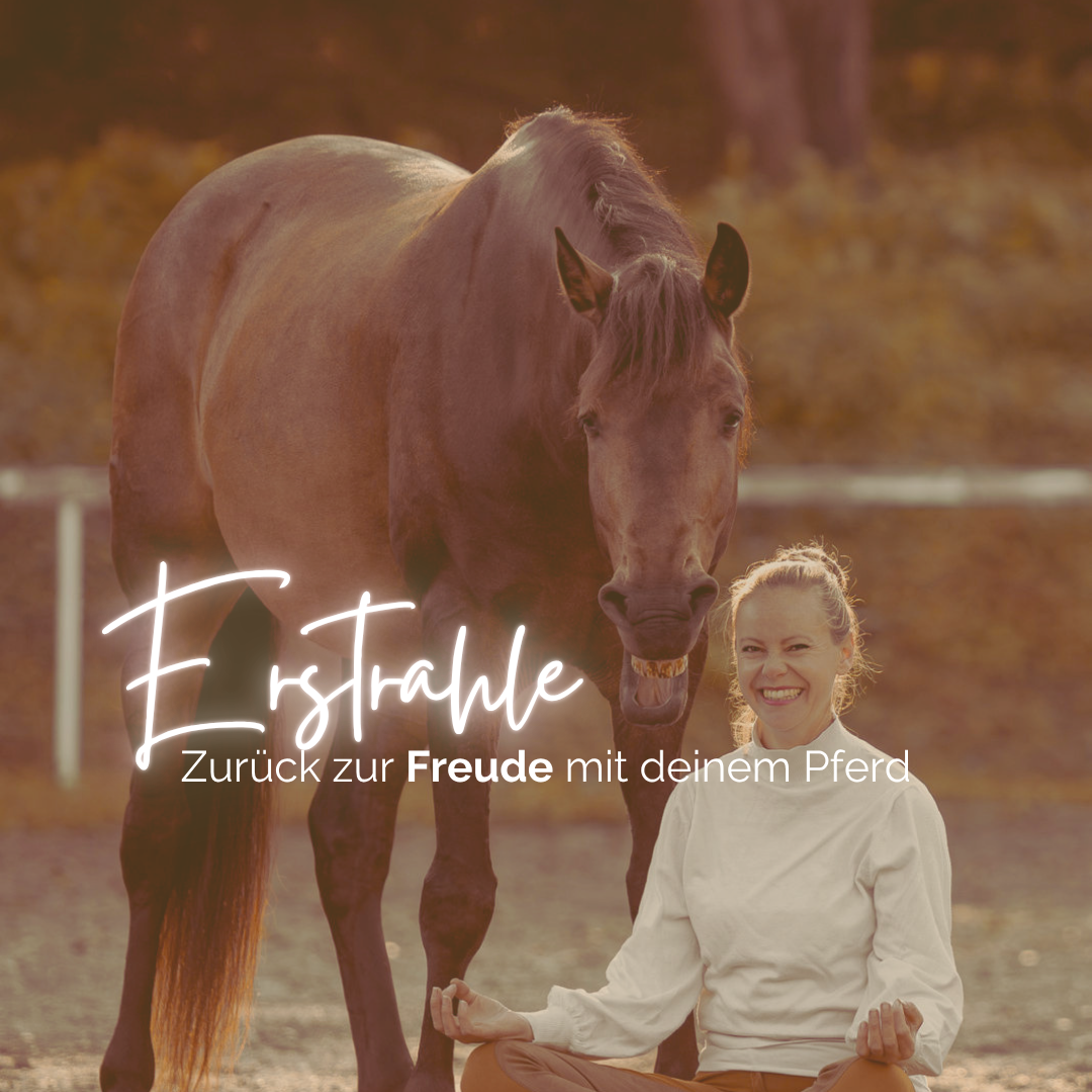Erstrahle-1080x1080.png