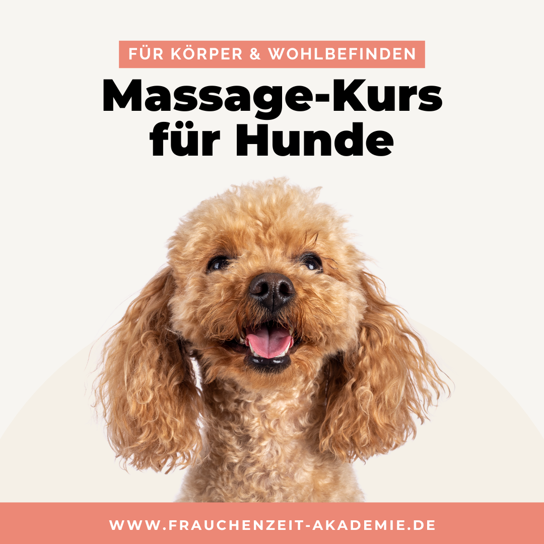 Logo Frauchenzeit (5)-1080x1080.png