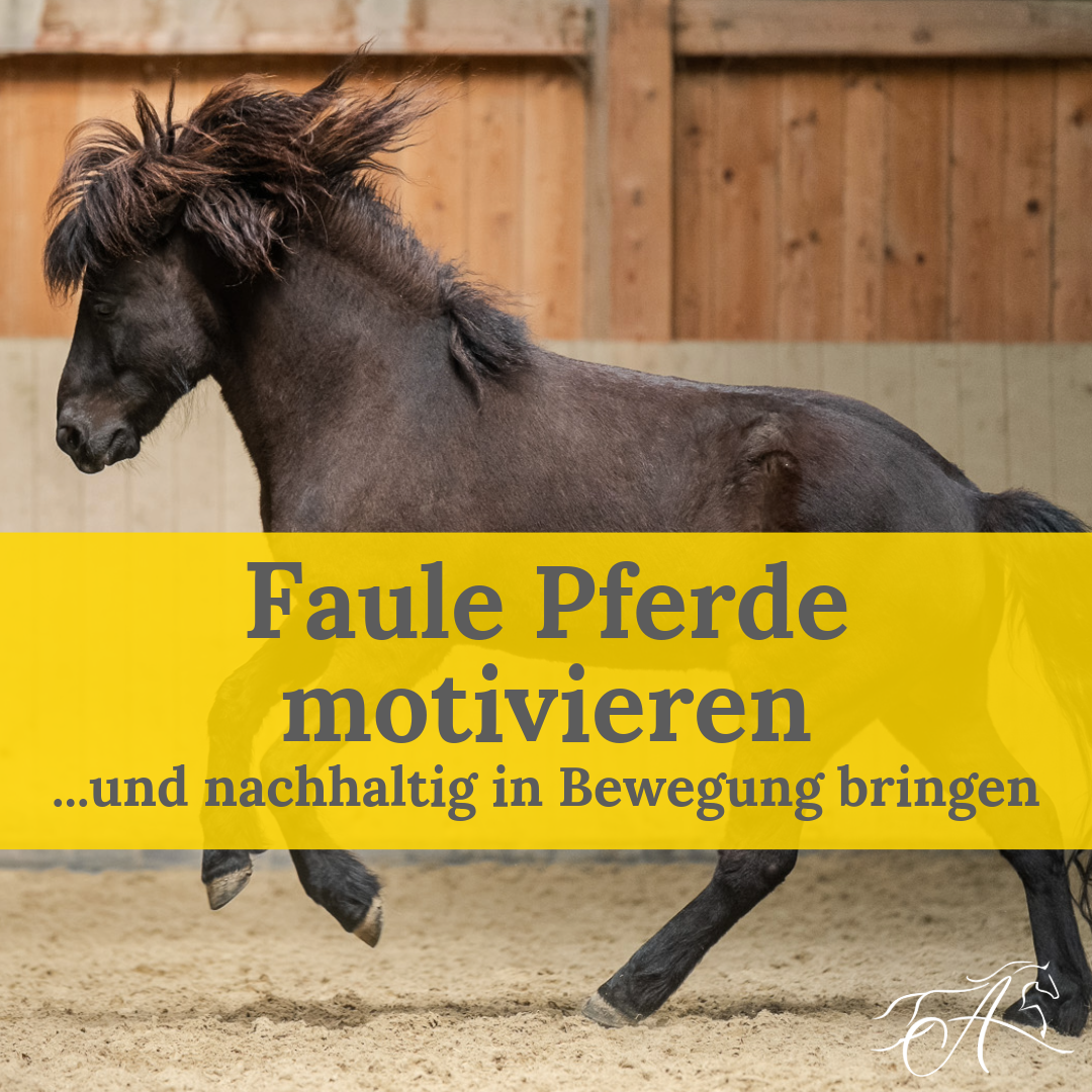 506507_faule-pferde-motivieren-1080x1080.png