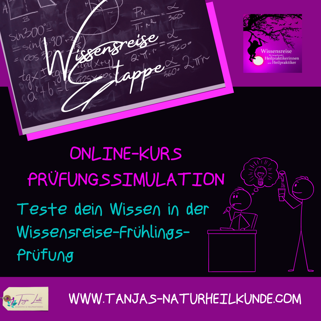 Bild Prüfungssimulation Frühling