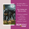 hundehelden 2