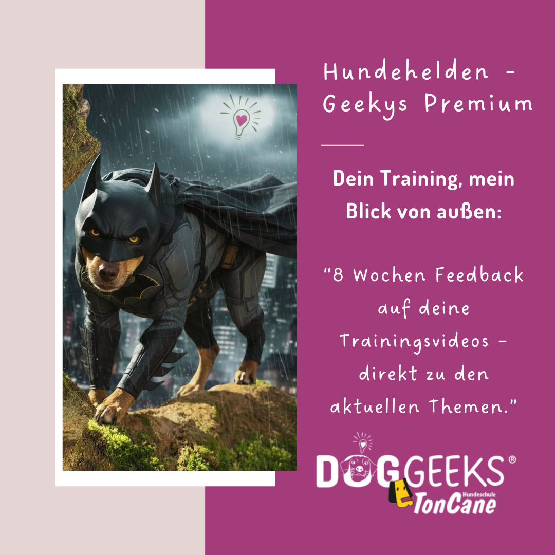 hundehelden 2