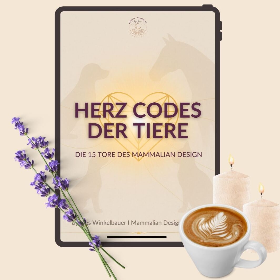 Kopie von Produktbild Ablefy Reading-1064x1064.jpg