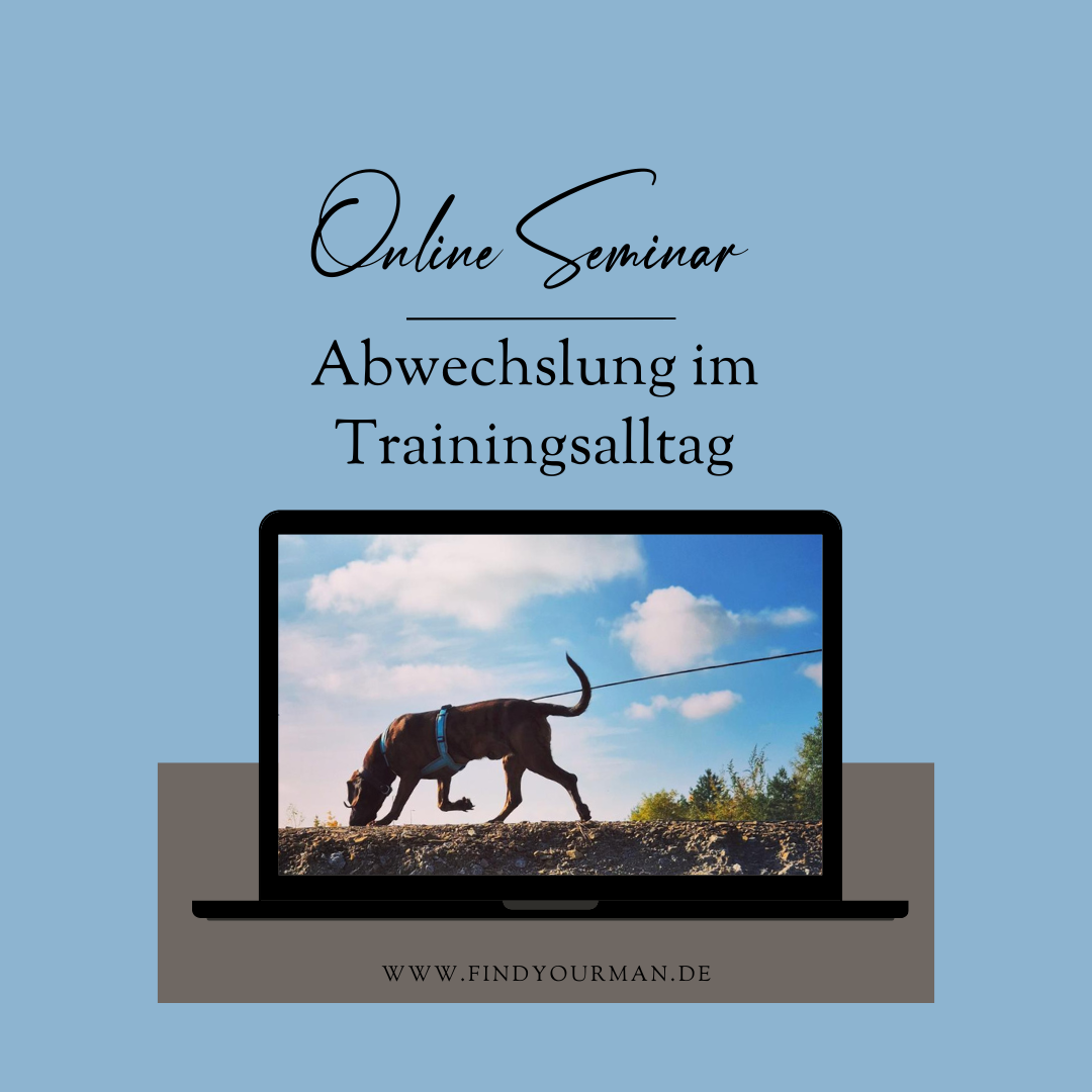 Abwechslung Trainingsalltag-1080x1080.png