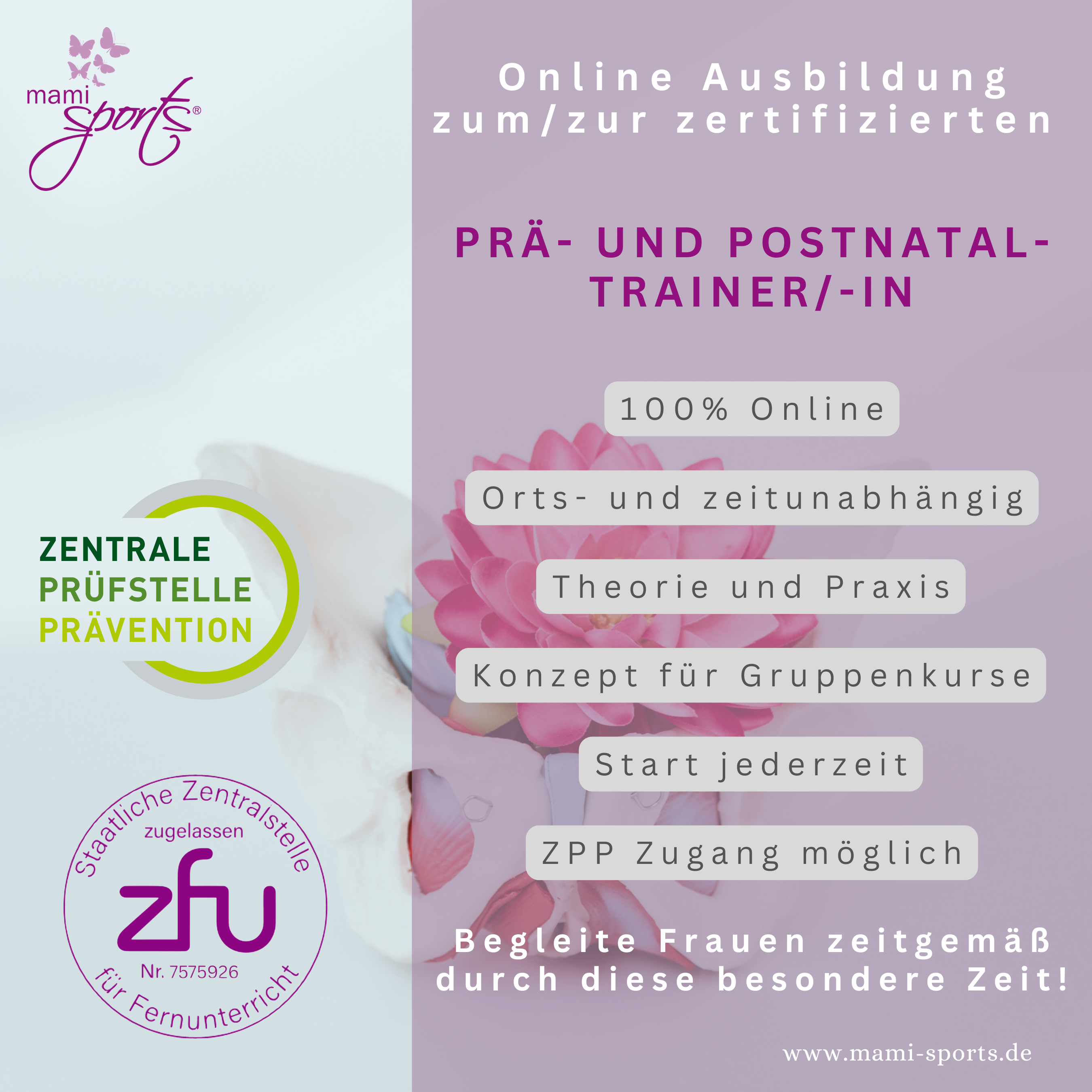 Ablefy Produktseite Prä- und Postnataltrainer (4)-2700x2700.png