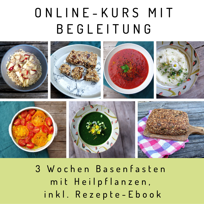 Banner für Basenfastenkur