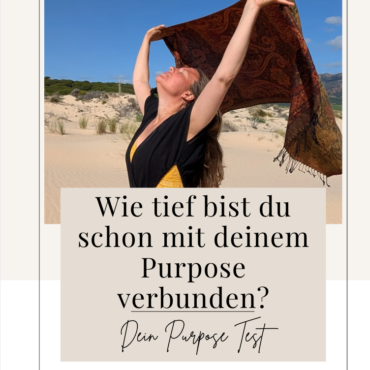 Bildschirmfoto 2026-01-10 um 18.33.26-752x752.png