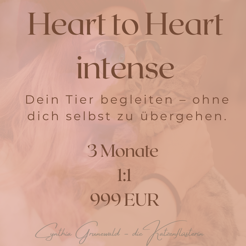 Heart to Heart intense-788x788.png
