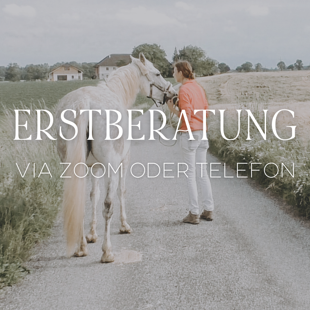 Erstberatung-1080x1080.png