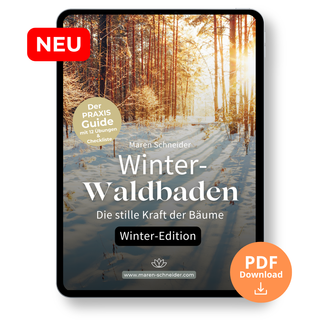 Kopie von  ISS  Book Mockup Posts (43)-1080x1080.png