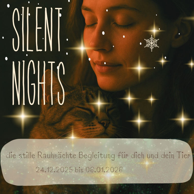 silent Nights-788x788.png