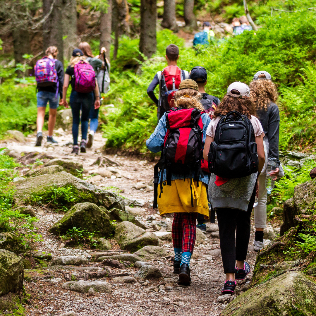 03_Sicherheit im Wald_Pic-1080x1080.png