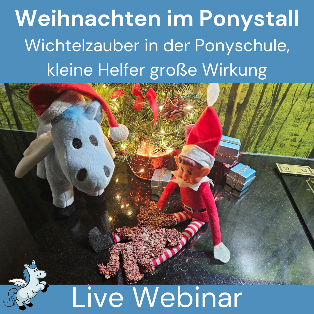 Webinar Weihnachtszauber-1080x1080.png