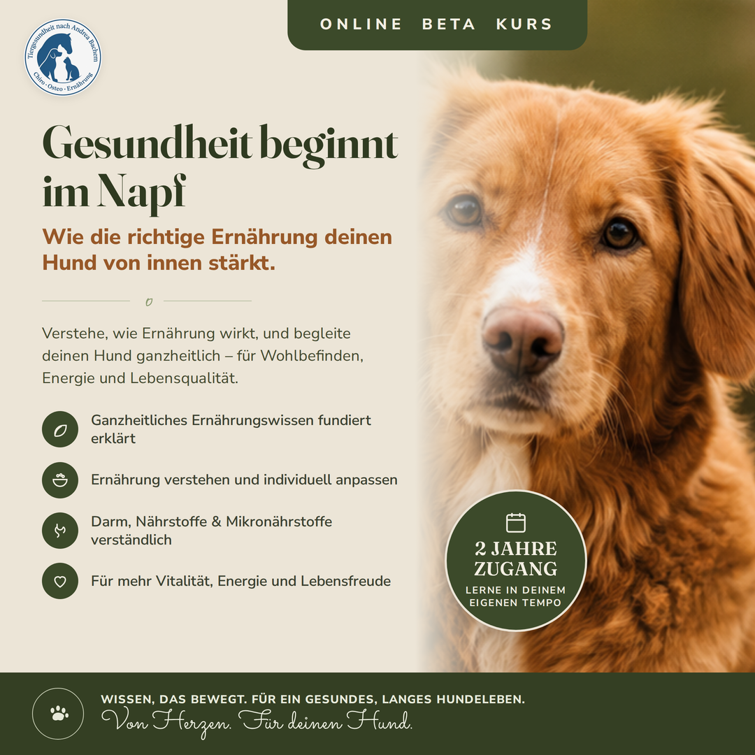 Beta-Kurs_1080x1080-1080x1080.png