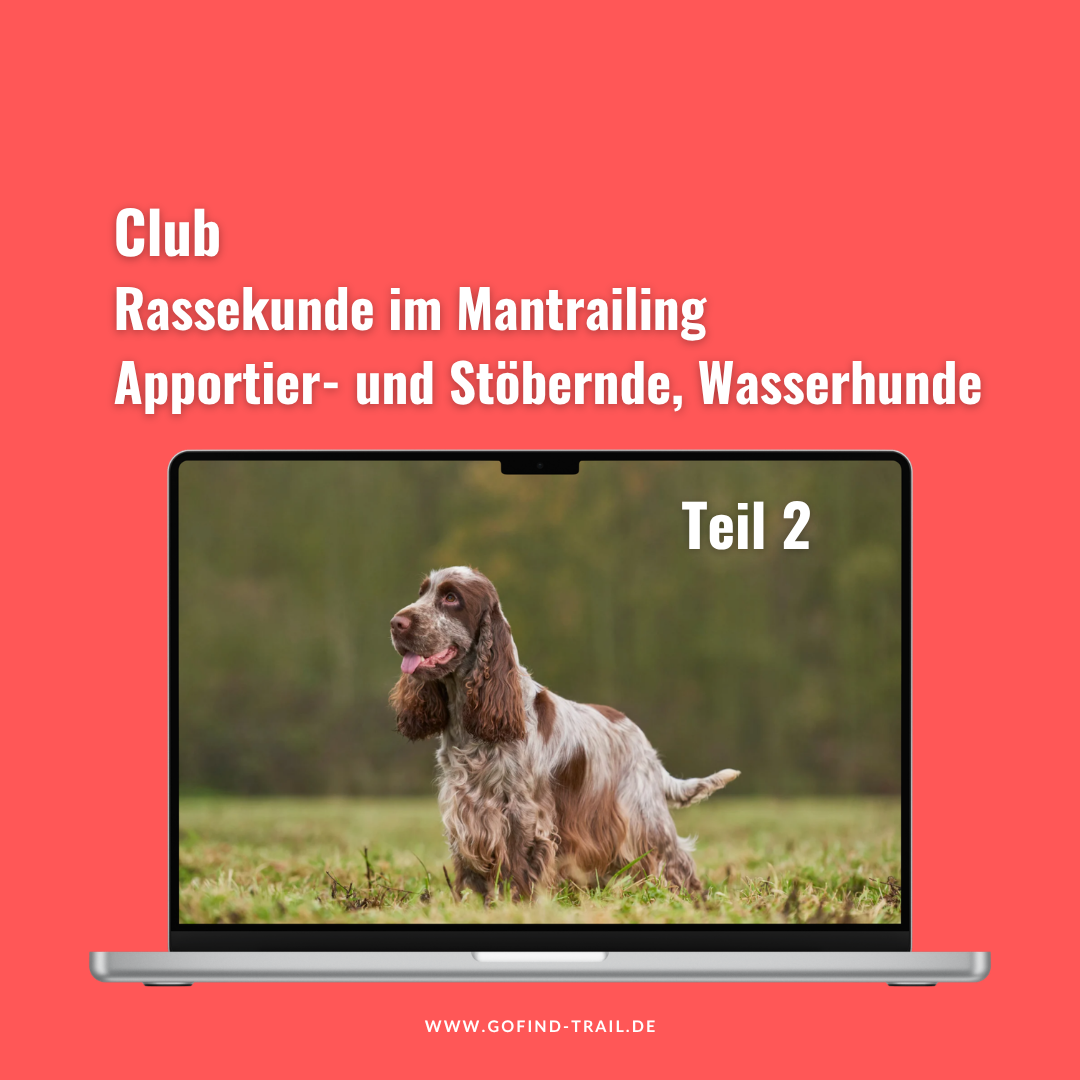 gofind_rassekunde_apportier_teil_2-1080x1080.png