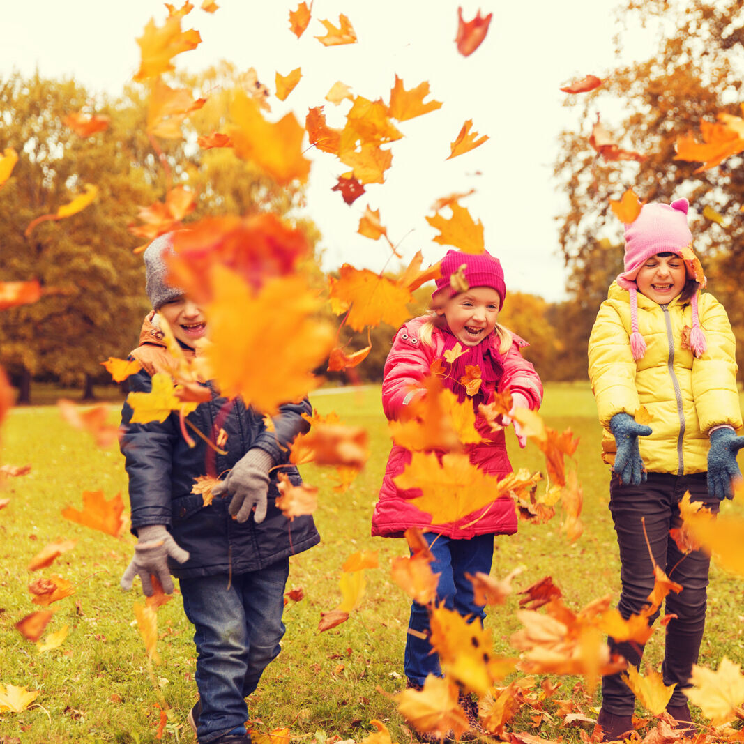 AdobeStock_118243991-1067x1067.jpg