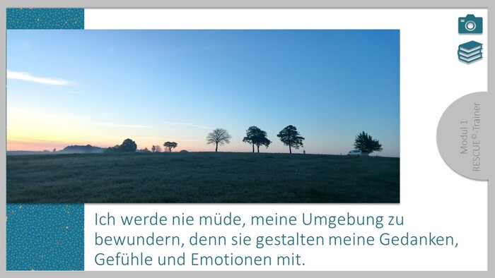loaded_image