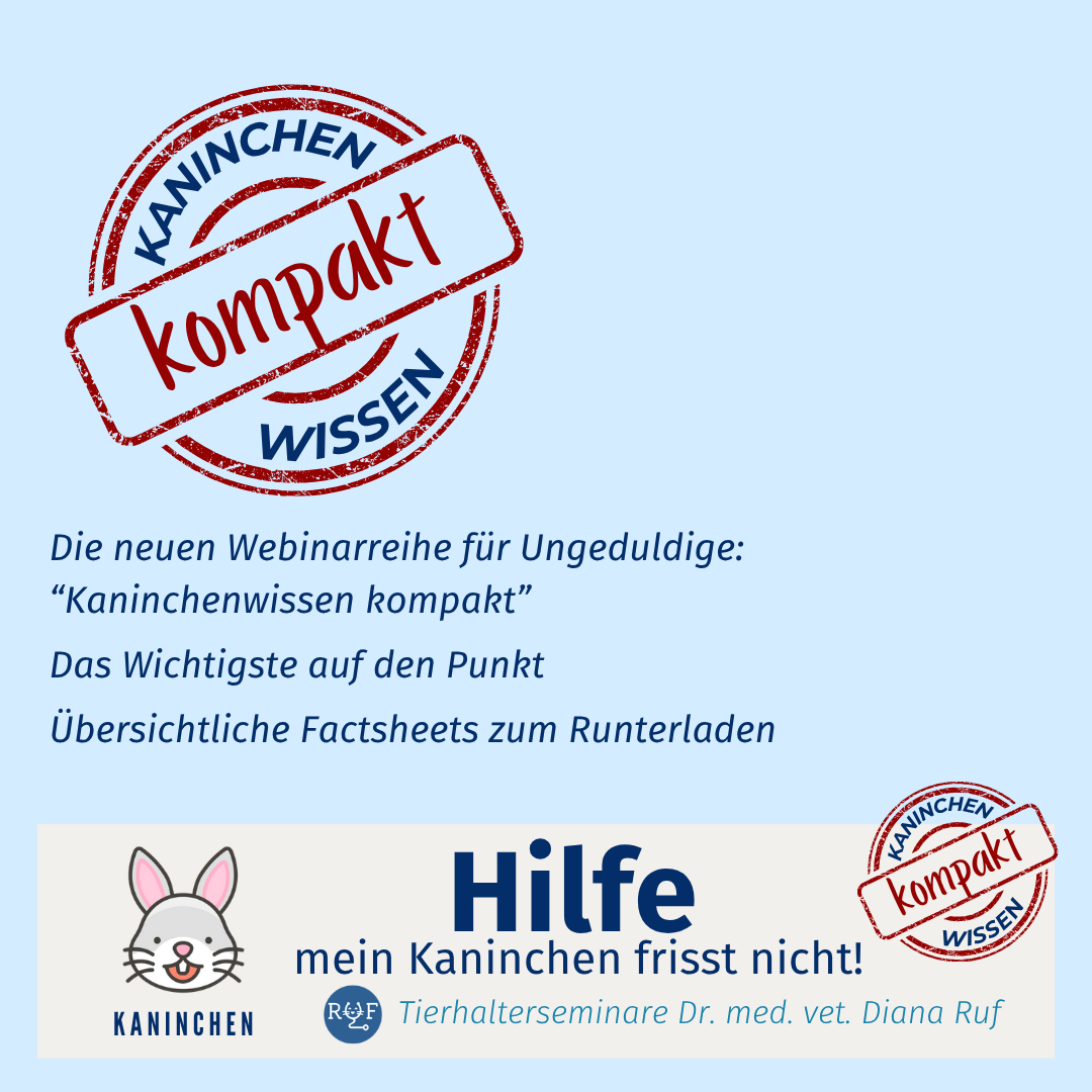 kompakt Hilfe-1080x1080.png