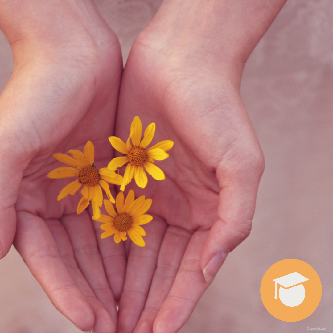 Hände halten gelbe Blumen