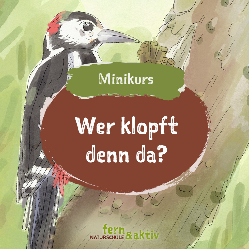 Minikurs_Specht_Cover2-980x980.jpg