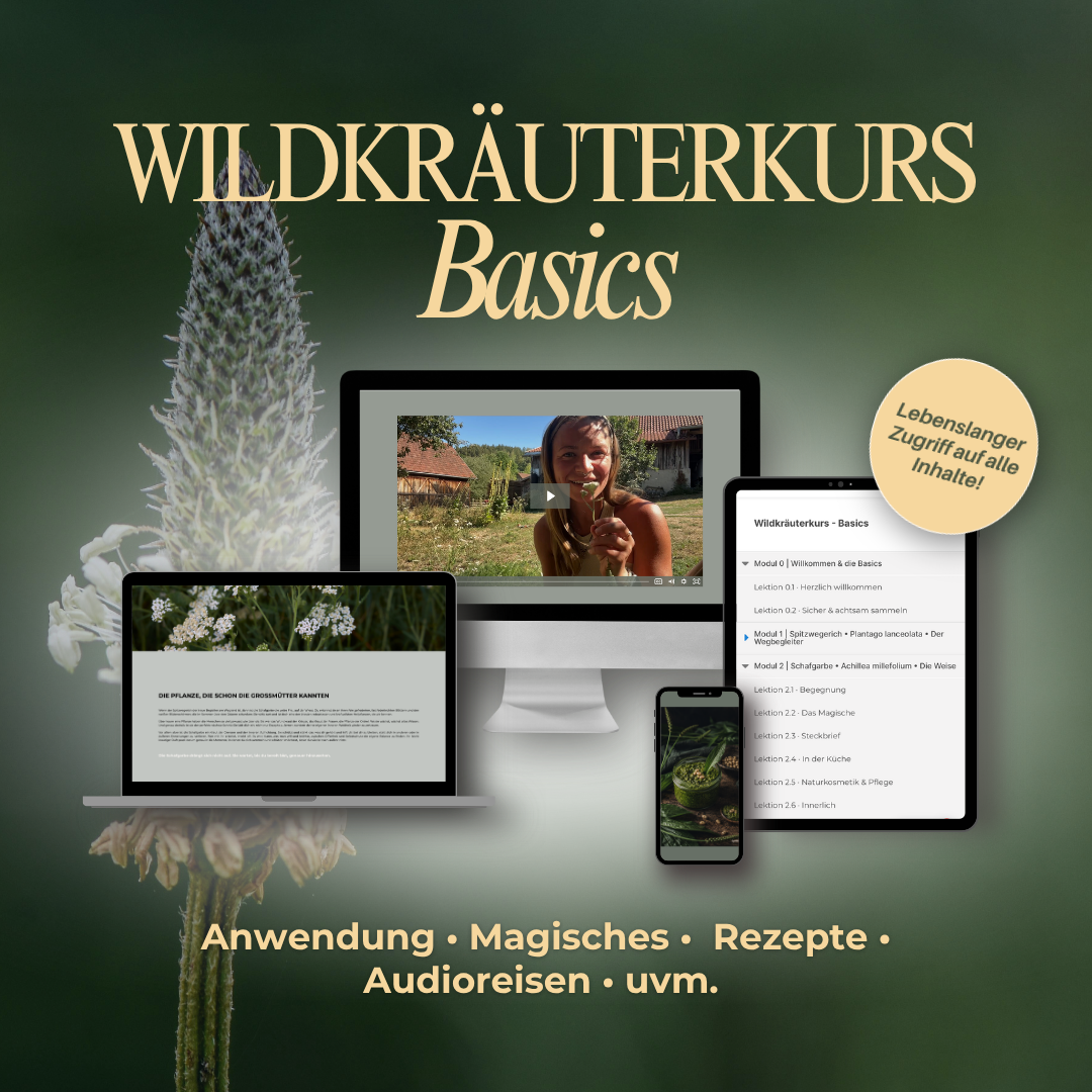 wildkräuterkurs Mockup quadratisch-1080x1080.png