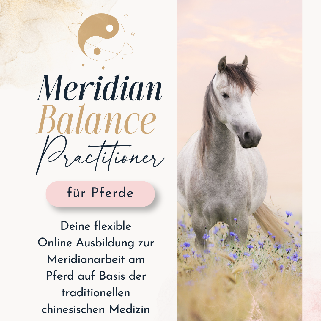 Kopie von Mini Guide Akupressur (1)-1080x1080.png