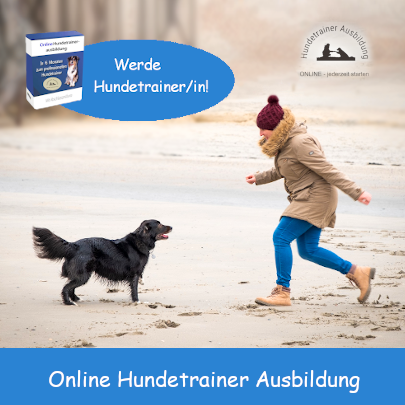 HundetrainerOnlinebadge1-405x405.png