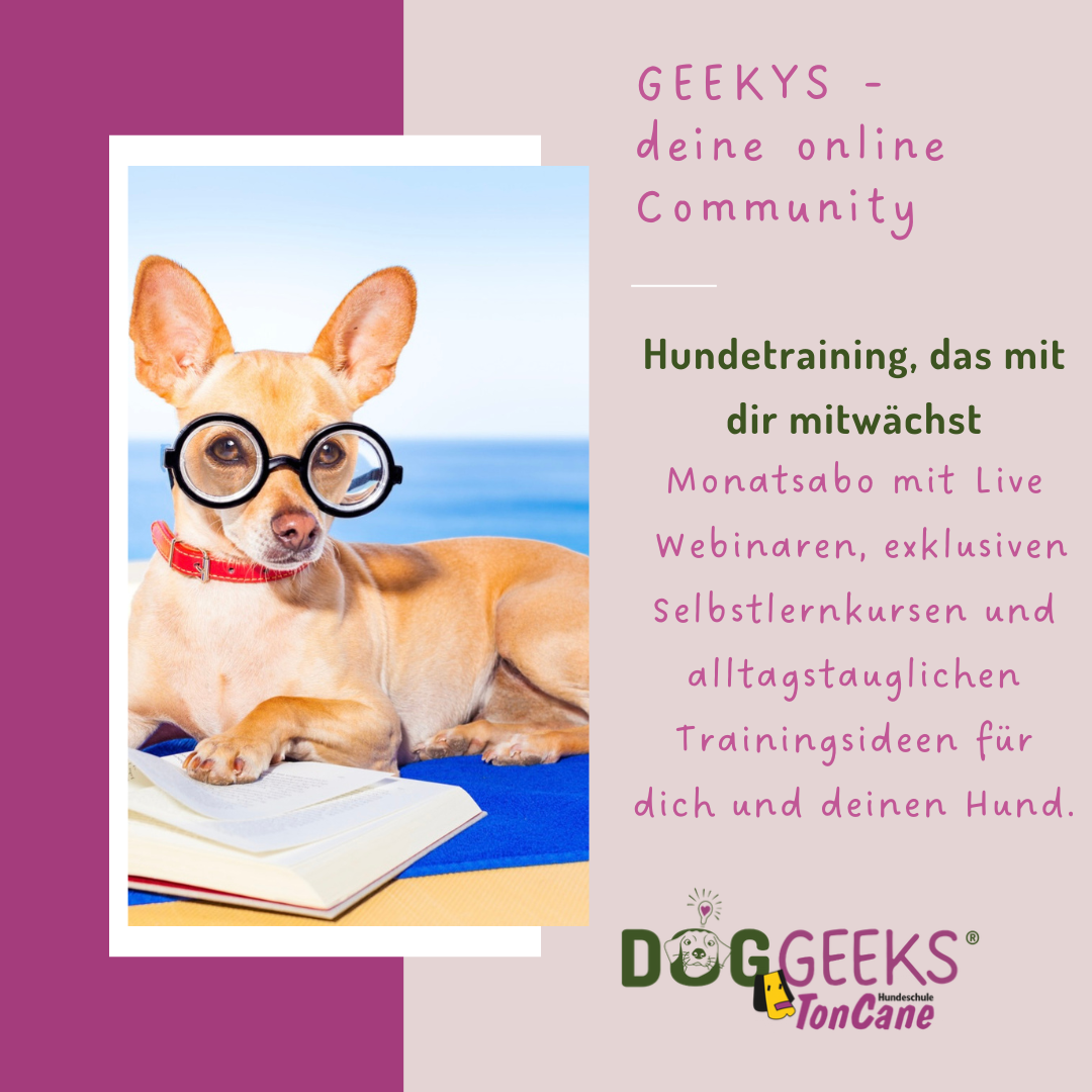Geekys Community