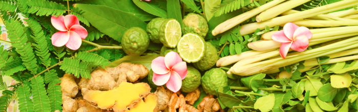 Ayurveda Allgemein