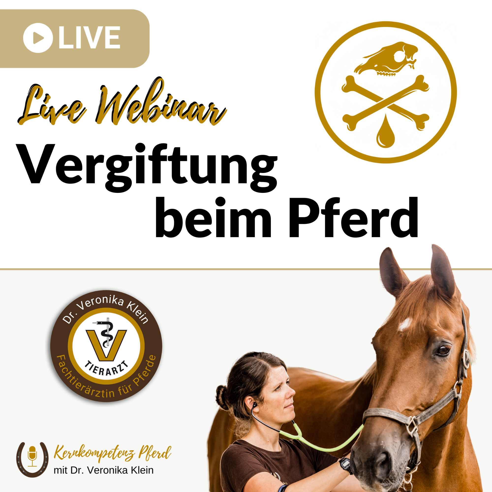 Vergiftung beim Pferd