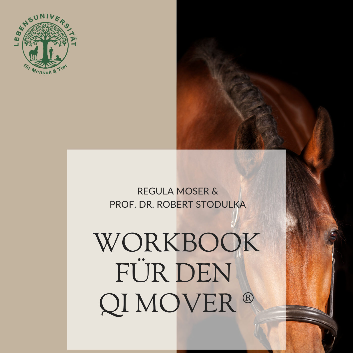 Qi Mover 📒 Workbook-1414x1414.png