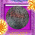 digital-icon