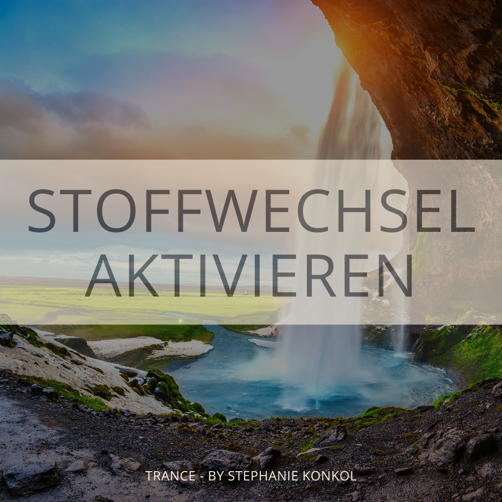 Shop (12)-1024x1024.png