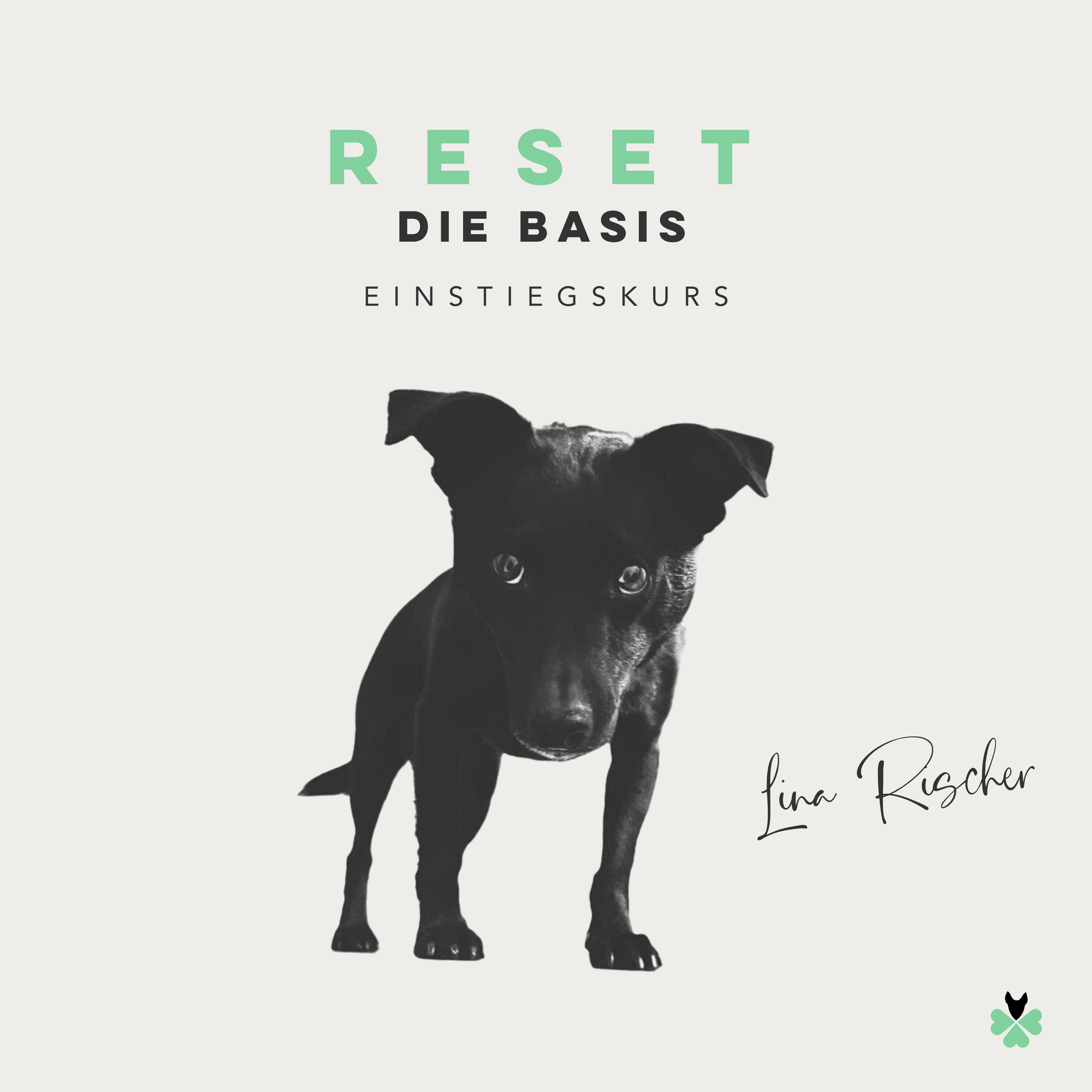 Titelbild RESET Einstiegskurs